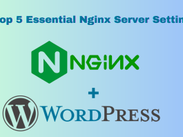 Nginx Server While Hosting a WordPress Site